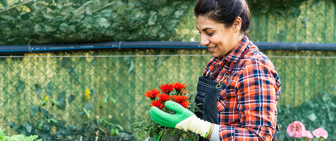 gardener tending to flowers